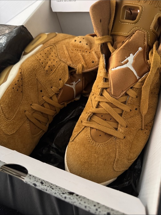 Jordan Other - Air Jordan 6 Retro Golden Harvest
